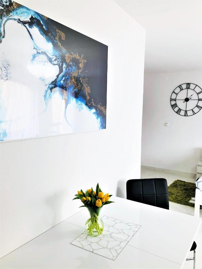Kaliny Apartamenty Wanny Z Hydromasazem Chorzów Eksteriør bilde